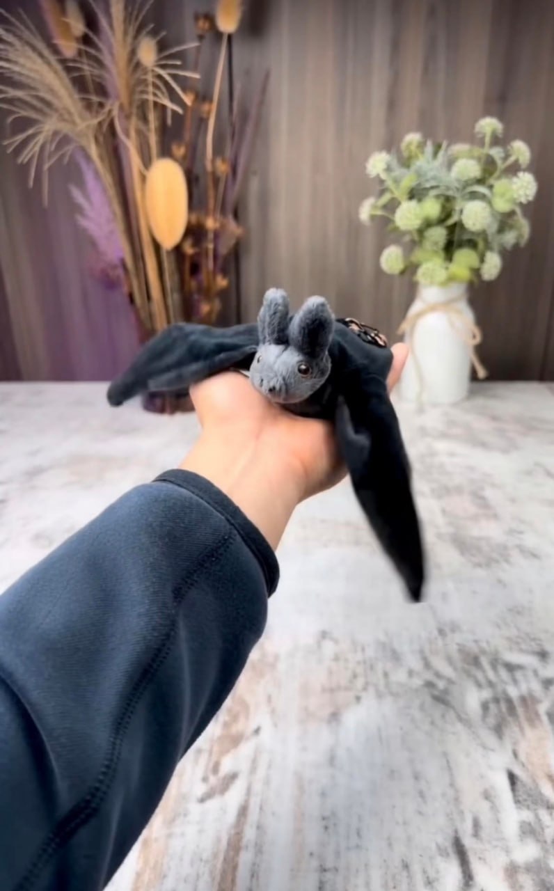 PlayfulPaws: Flying Bat Toy